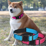 Verstellbares Nylon-Hundehalsband mit Clipverschluss