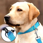 Verstellbares Nylon-Hundehalsband mit Clipverschluss