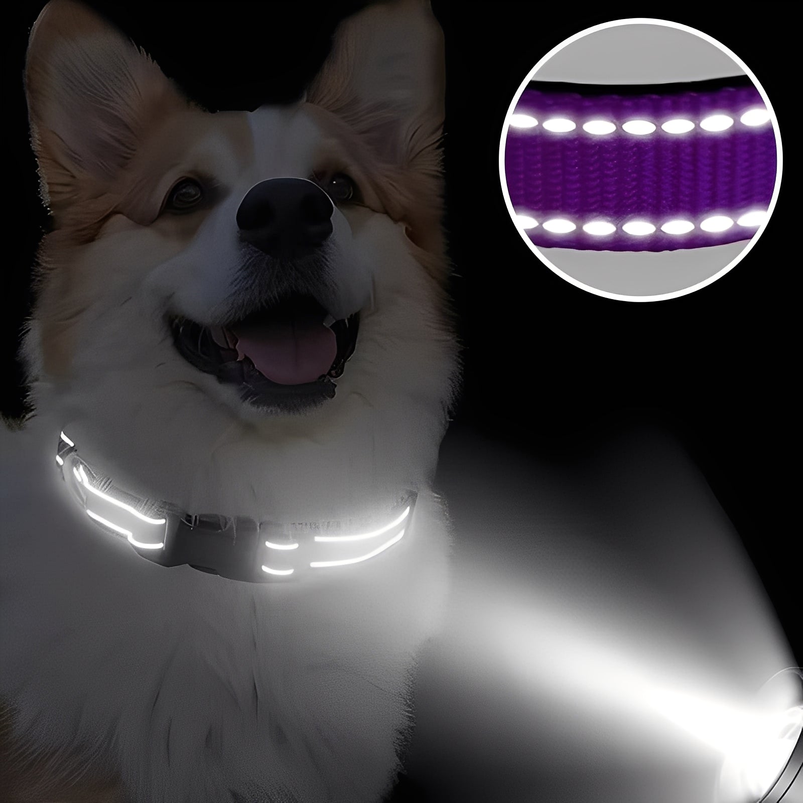 Verstellbares Nylon-Hundehalsband mit Clipverschluss