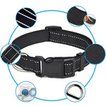 Verstellbarer Nylon-Hundehalsband mit Sicherheitsverschluss