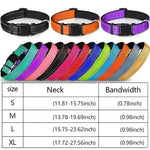 Verstellbares Nylon-Hundehalsband mit Clipverschluss