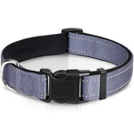 Verstellbares Nylon-Hundehalsband mit Clipverschluss