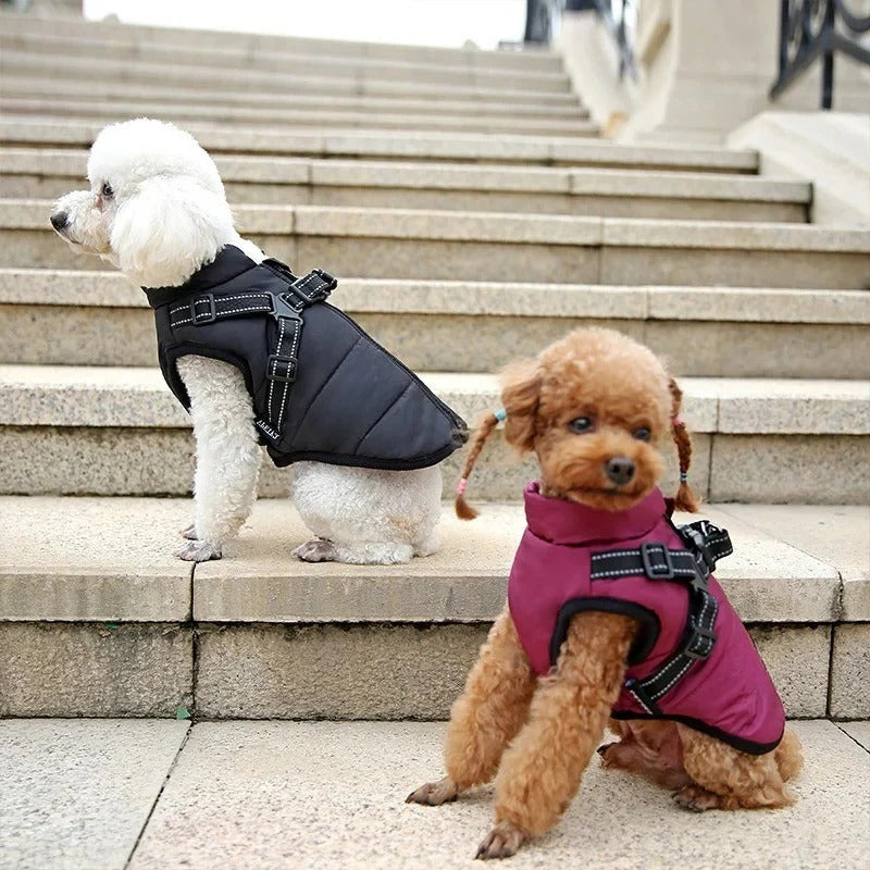 Wärmeschutz Hundemantel mit Eingebautem Geschirr für Kaltes Wetter