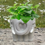 Kreativer Blumentopf für Sukkulenten und stilvolle Dekoration