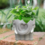 Kreativer Blumentopf für Sukkulenten und stilvolle Dekoration