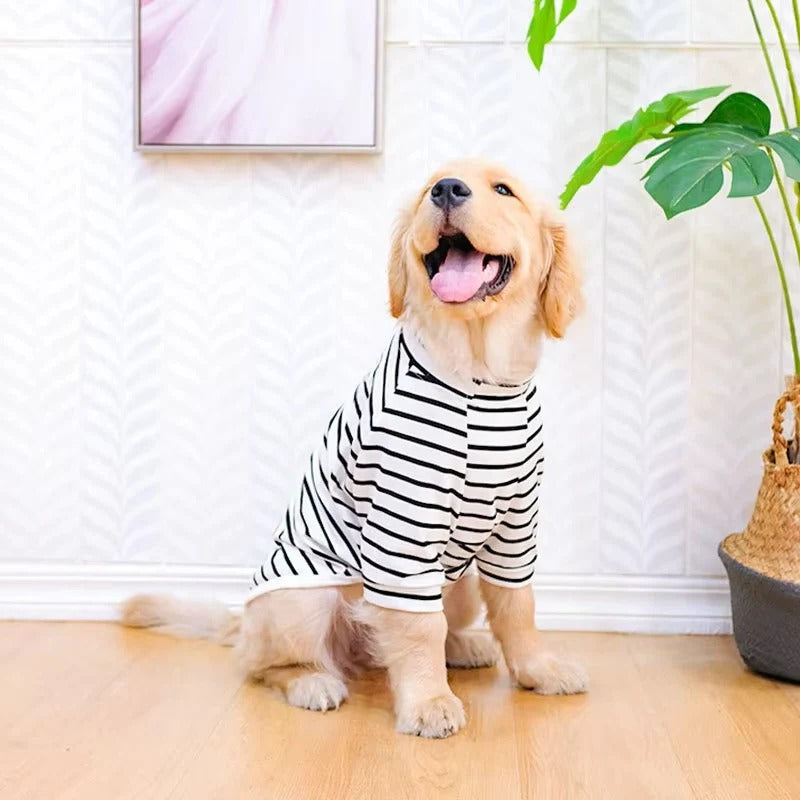 Leichtes Baumwoll-T-Shirt für Hunde im Sommer