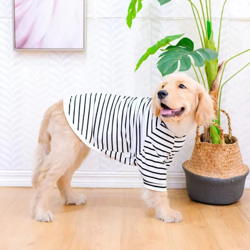 Leichtes Baumwoll-T-Shirt für Hunde im Sommer
