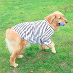 Leichtes Baumwoll-T-Shirt für Hunde im Sommer