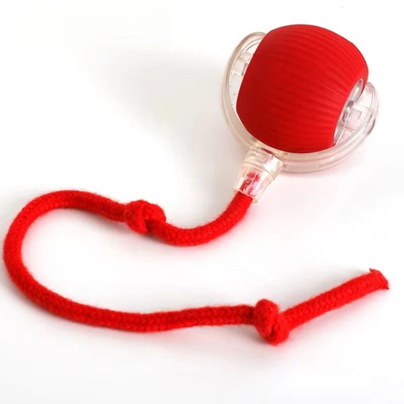 Automatic Cat Toy with Moving Tail