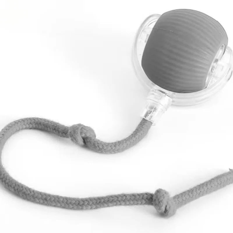 Automatic Cat Toy with Moving Tail