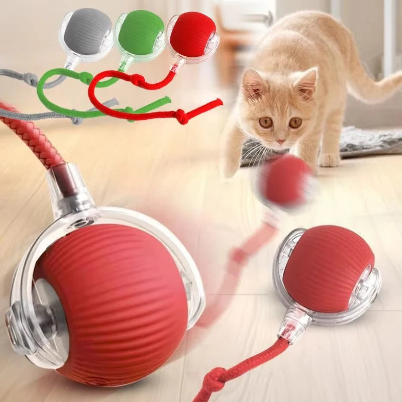 Automatic Cat Toy with Moving Tail