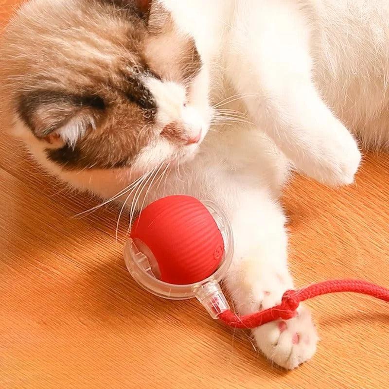 Automatic Cat Toy with Moving Tail