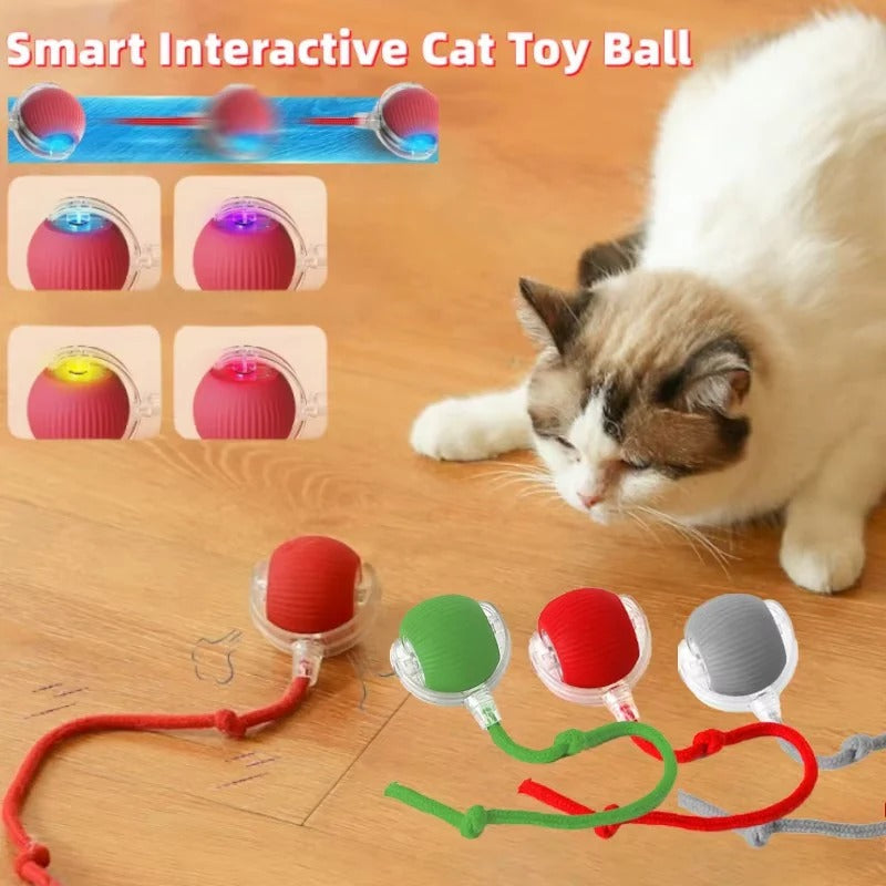Automatic Cat Toy with Moving Tail