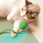 Automatic Cat Toy with Moving Tail
