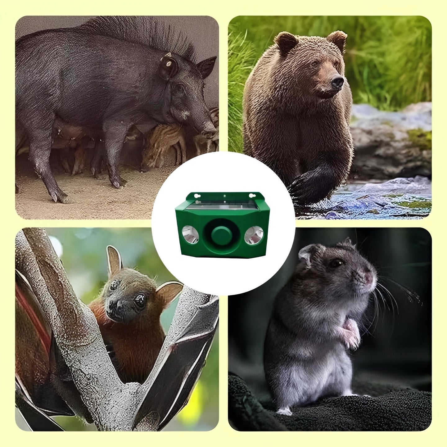 Solar-powered animal repeller with warning light system