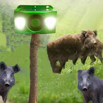 Solar-Powered Animal Repellent System with Warning Light