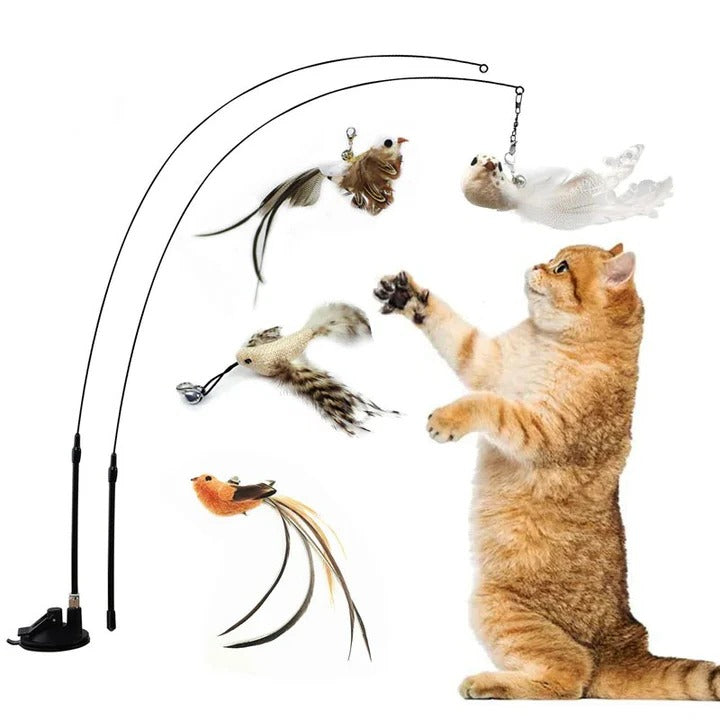 Katzen-Spielzeugset mit Vögeln für aktiven Spielspaß