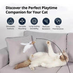 Katzen-Spielzeugset mit Vögeln für aktiven Spielspaß