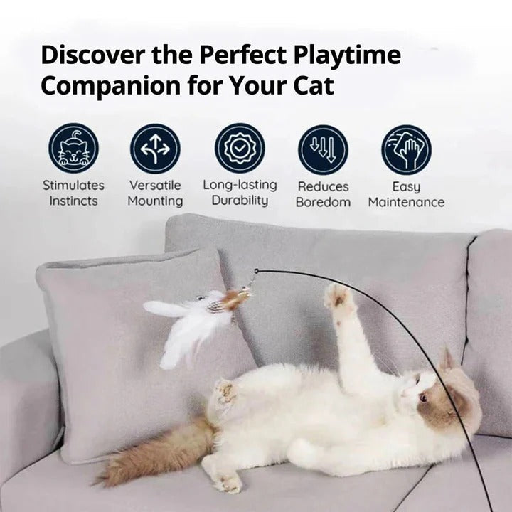 Interaktives Spielset mit Vogelspielzeugen für Katzen