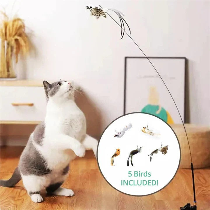 Interaktives Spielset mit Vogelspielzeugen für Katzen