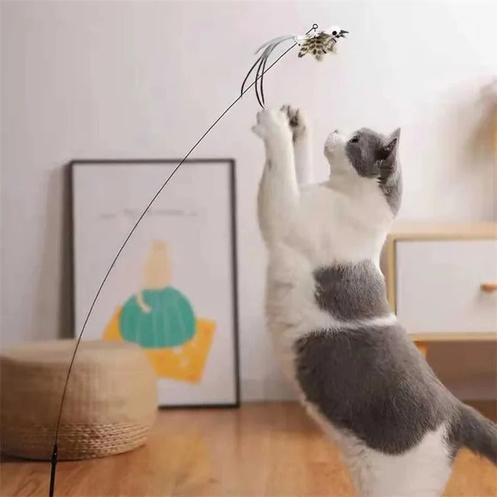 Katzen-Spielzeugset mit Vögeln für aktiven Spielspaß