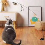 Katzen-Spielzeugset mit Vögeln für aktiven Spielspaß