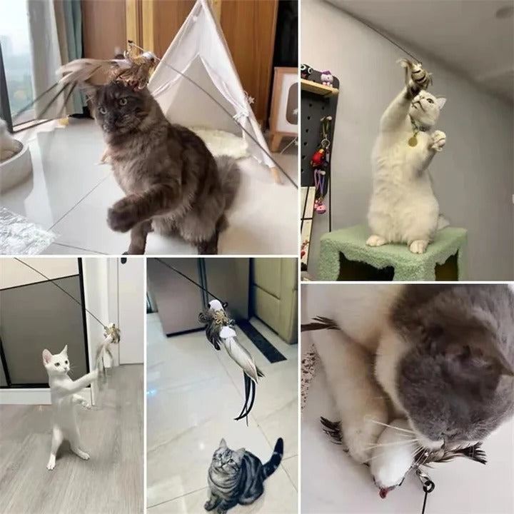 Katzen-Spielzeugset mit Vögeln für aktiven Spielspaß
