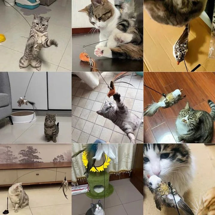 Interaktives Spielset mit Vogelspielzeugen für Katzen