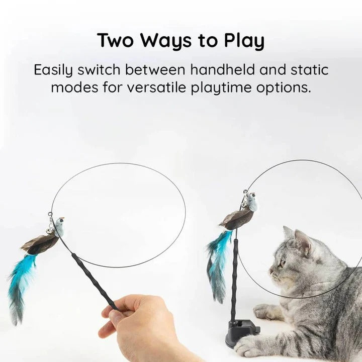 Interaktives Spielset mit Vogelspielzeugen für Katzen