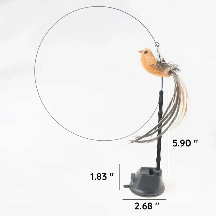 Interaktives Spielset mit Vogelspielzeugen für Katzen