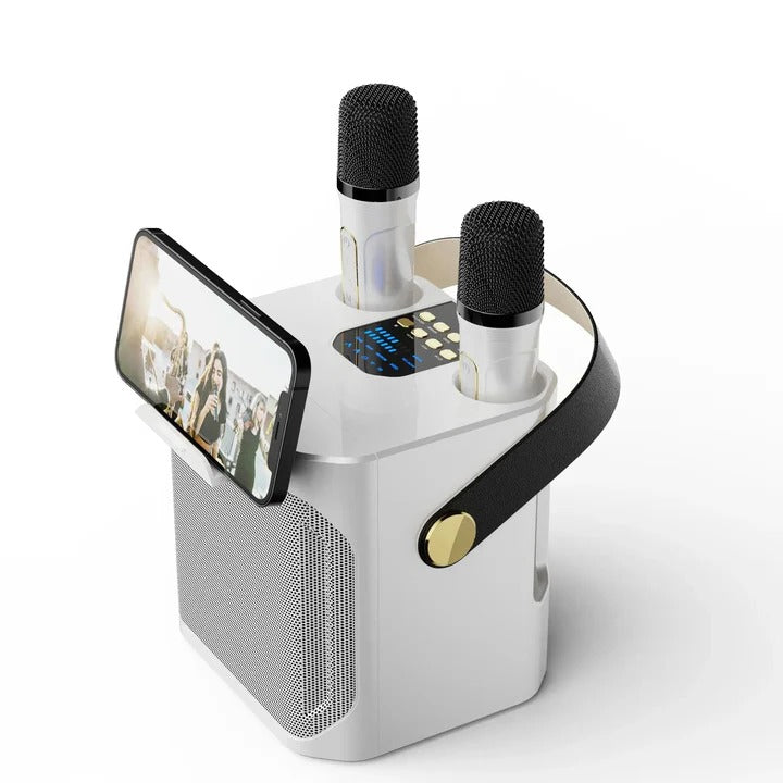Portable Bluetooth Karaoke Speaker with Surround Sound