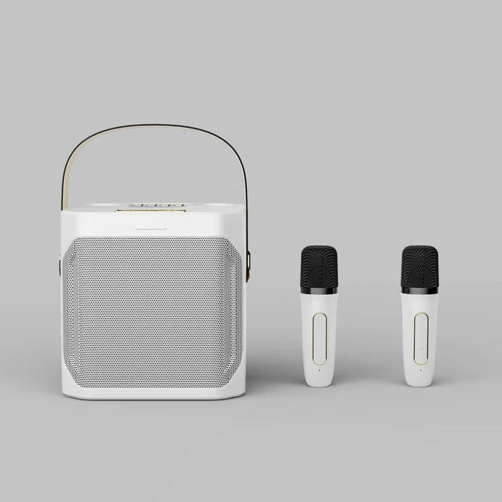 Portable Bluetooth Karaoke Speaker with Surround Sound