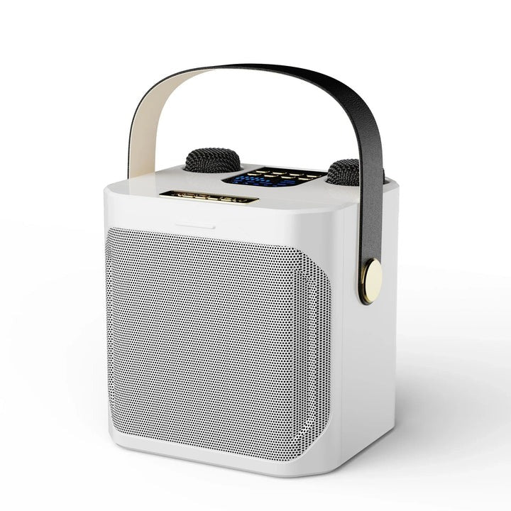 Portable Bluetooth Karaoke Speaker with Surround Sound