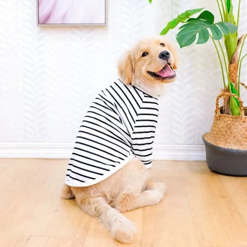 Hundeshirt für große Rassen aus atmungsaktivem Baumwollstoff