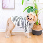 Hundeshirt für große Rassen aus atmungsaktivem Baumwollstoff