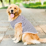 Luftiges Hundeshirt für Große Rassen aus Baumwolle