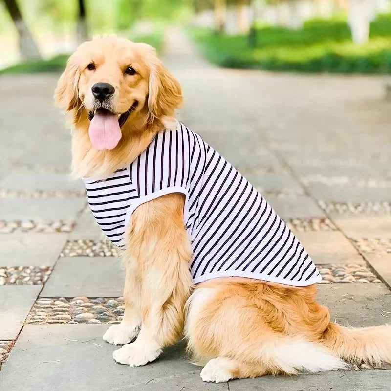 Luftiges Hundeshirt für Große Rassen aus Baumwolle