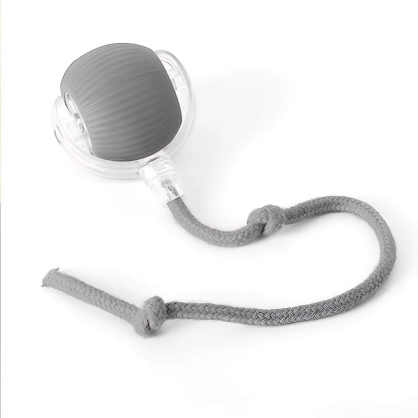 Interactive Ball Toy with Tail for Dogs