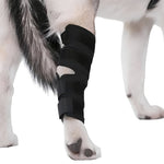 Verstärkende Beinschiene für Hunde mit Verstellbaren Riemen
