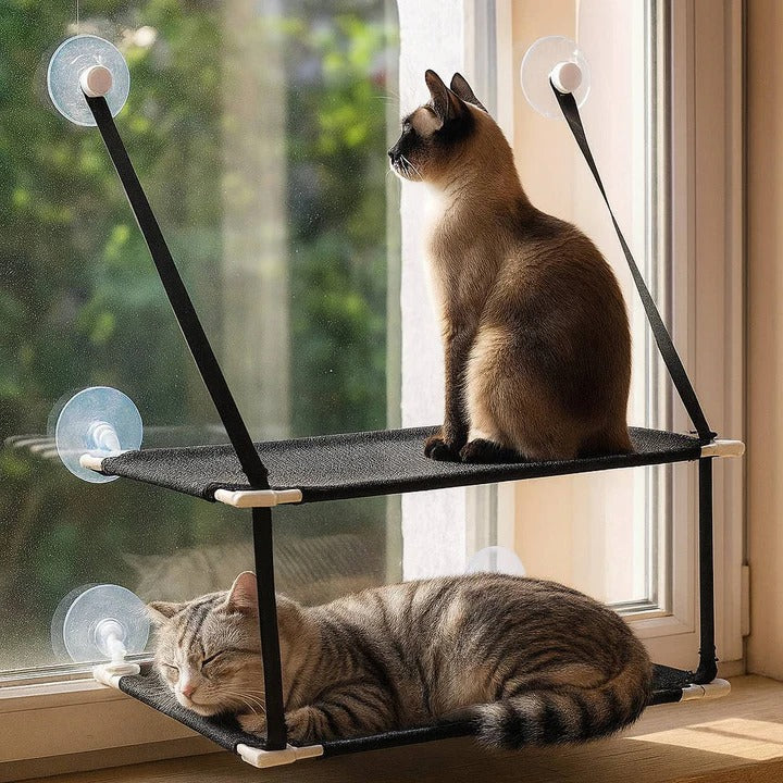 Fensterliege für Katzen mit Saugbefestigung