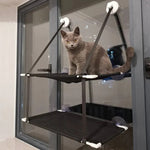 Fensterliege für Katzen mit Saugbefestigung