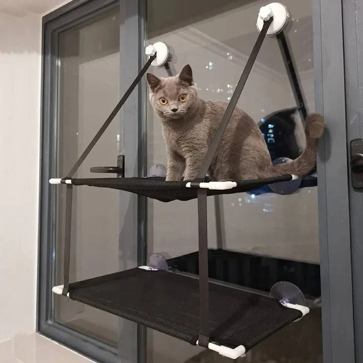 Fensterliege für Katzen mit Saugbefestigung