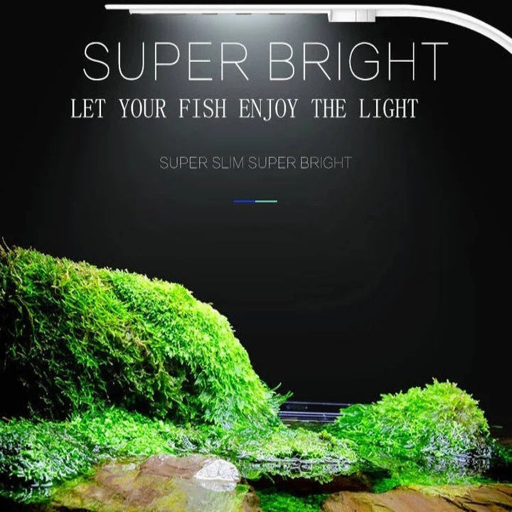 Elegante LED-Aquarienbeleuchtung für gesunde Pflanzen und Fische