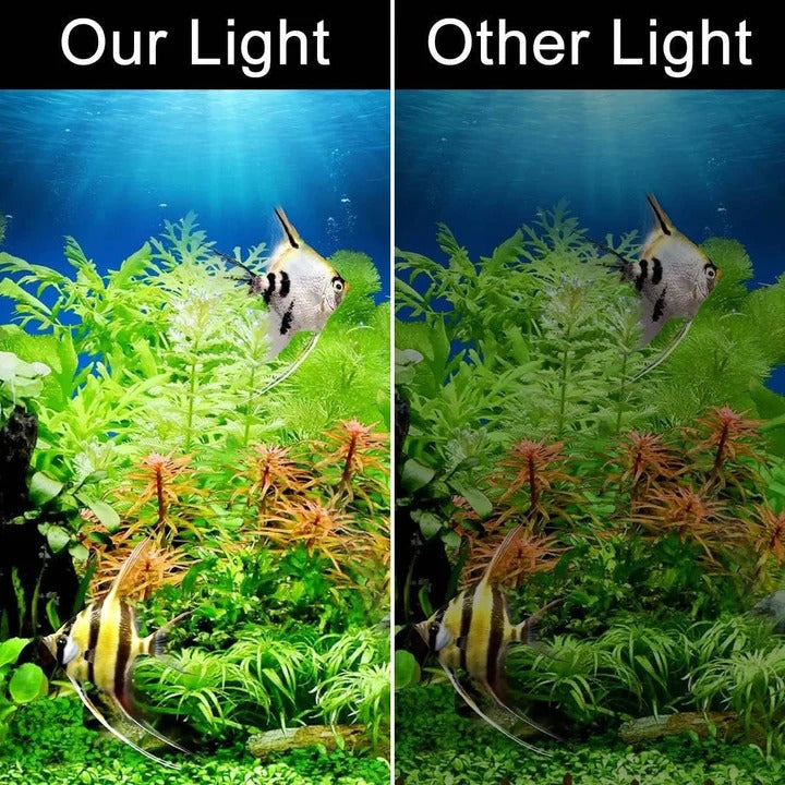 Elegante LED-Aquarienbeleuchtung für gesunde Pflanzen und Fische