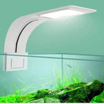 Schlanke LED-Beleuchtung für Aquarien und Pflanzen