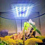 Schlanke LED-Beleuchtung für Aquarien und Pflanzen