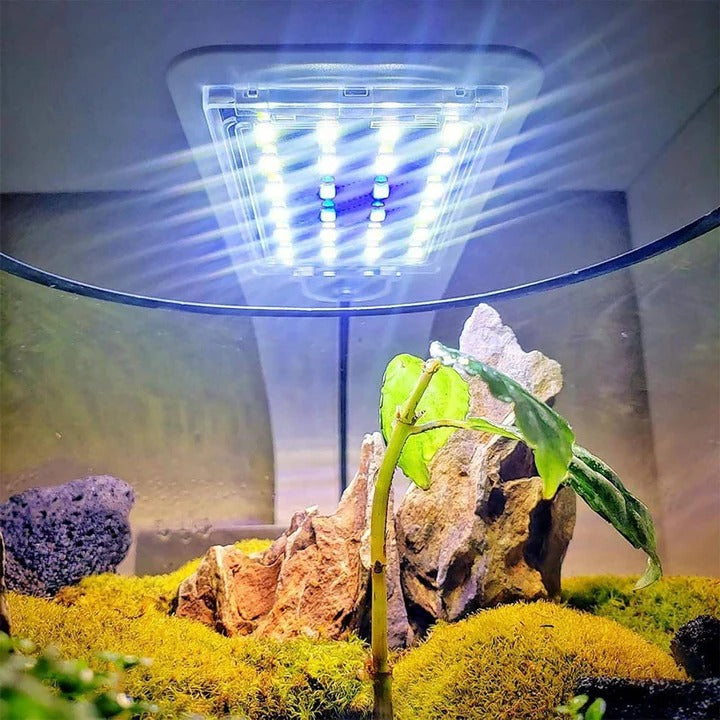 Schlanke LED-Beleuchtung für Aquarien und Pflanzen