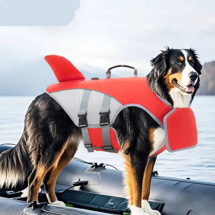 Sicherer Schwimmweste für Hunde mit Auftriebshilfe