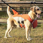 Sicherer Schwimmweste für Hunde mit Auftriebshilfe