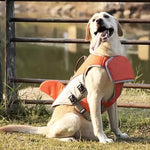 Sichere Schwimmweste für Hunde mit Auftriebshilfe
